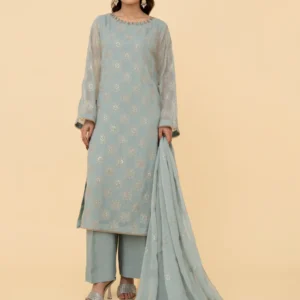 LADIES SUIT 2 PIC